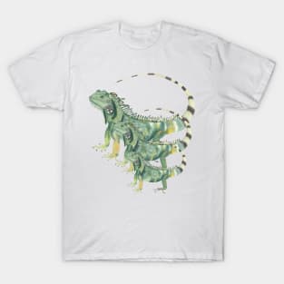 Iguanas design T-Shirt